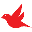 Robin - Your AI Sidekick