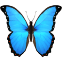 Serene - AI Notetaker for Mental Health Clinicians