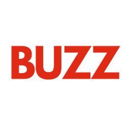 NaijaBuzz300