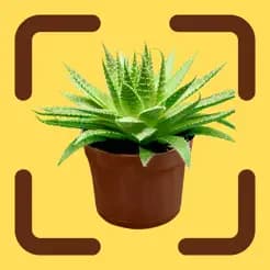 PlantIdentify - Plant Detector
