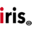 irisradgroup.com
