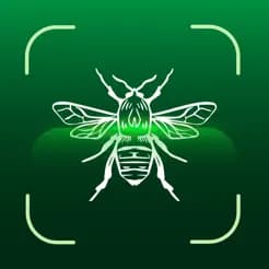 Bug Identifier : Insect ID