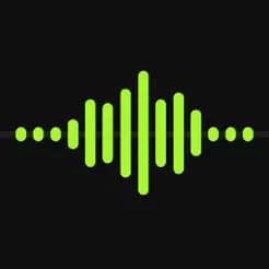 VoiceRec: AI Vocal Recorder