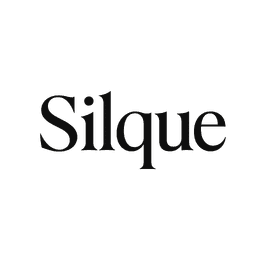 Silque AI - Your Fashion Companion