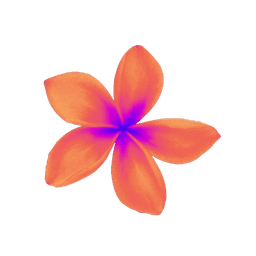 Plumeria
