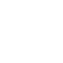 Parcae: AI Mind Map Creator