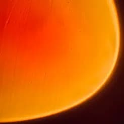 Lifelight:AI Journal/Note for Vision Pro