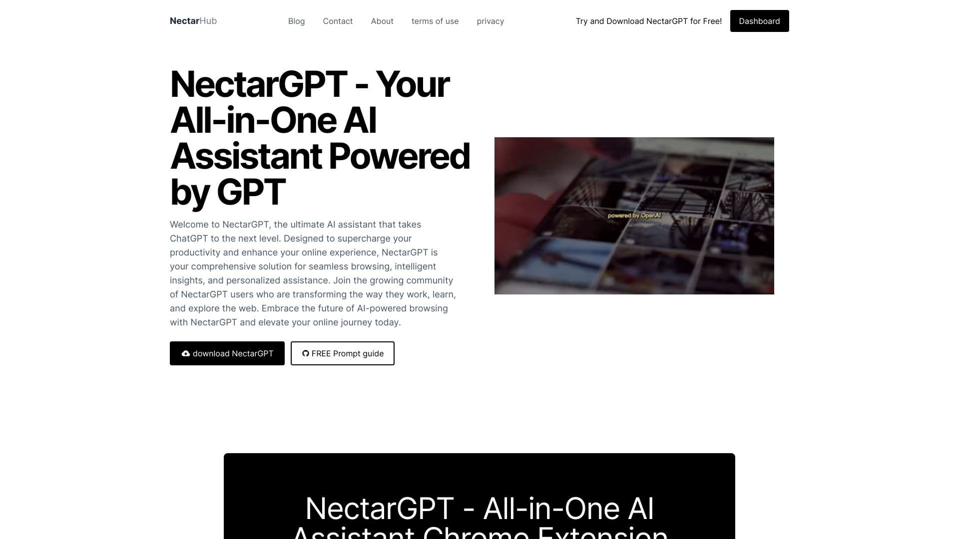 Nectar-GPT thumbnail