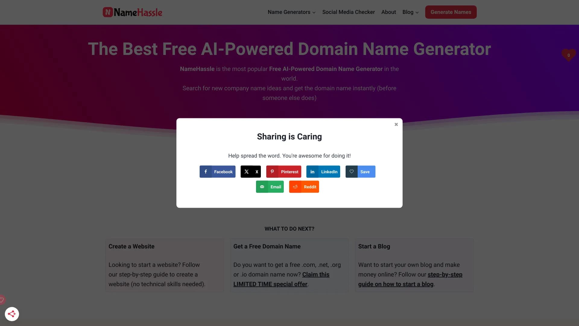 NameHassle thumbnail