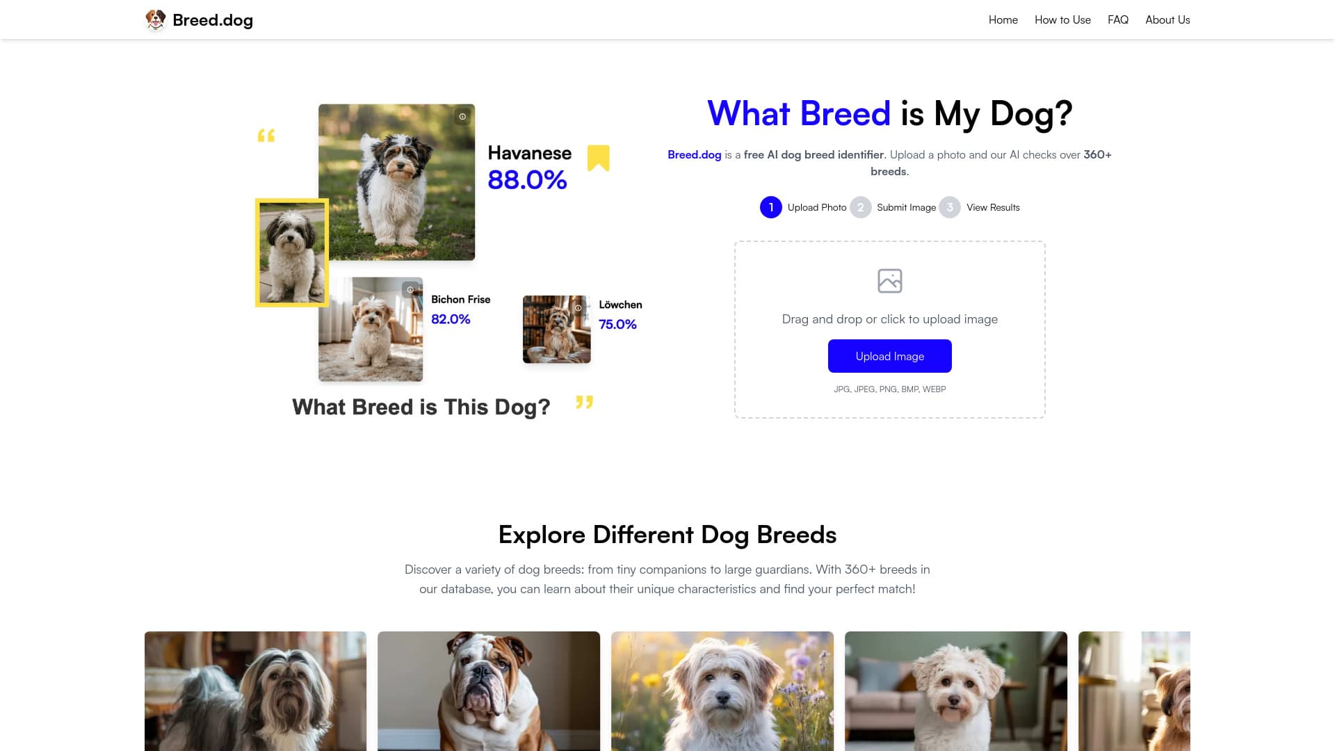 Breed.dog - AI Dog Breed Identifier thumbnail