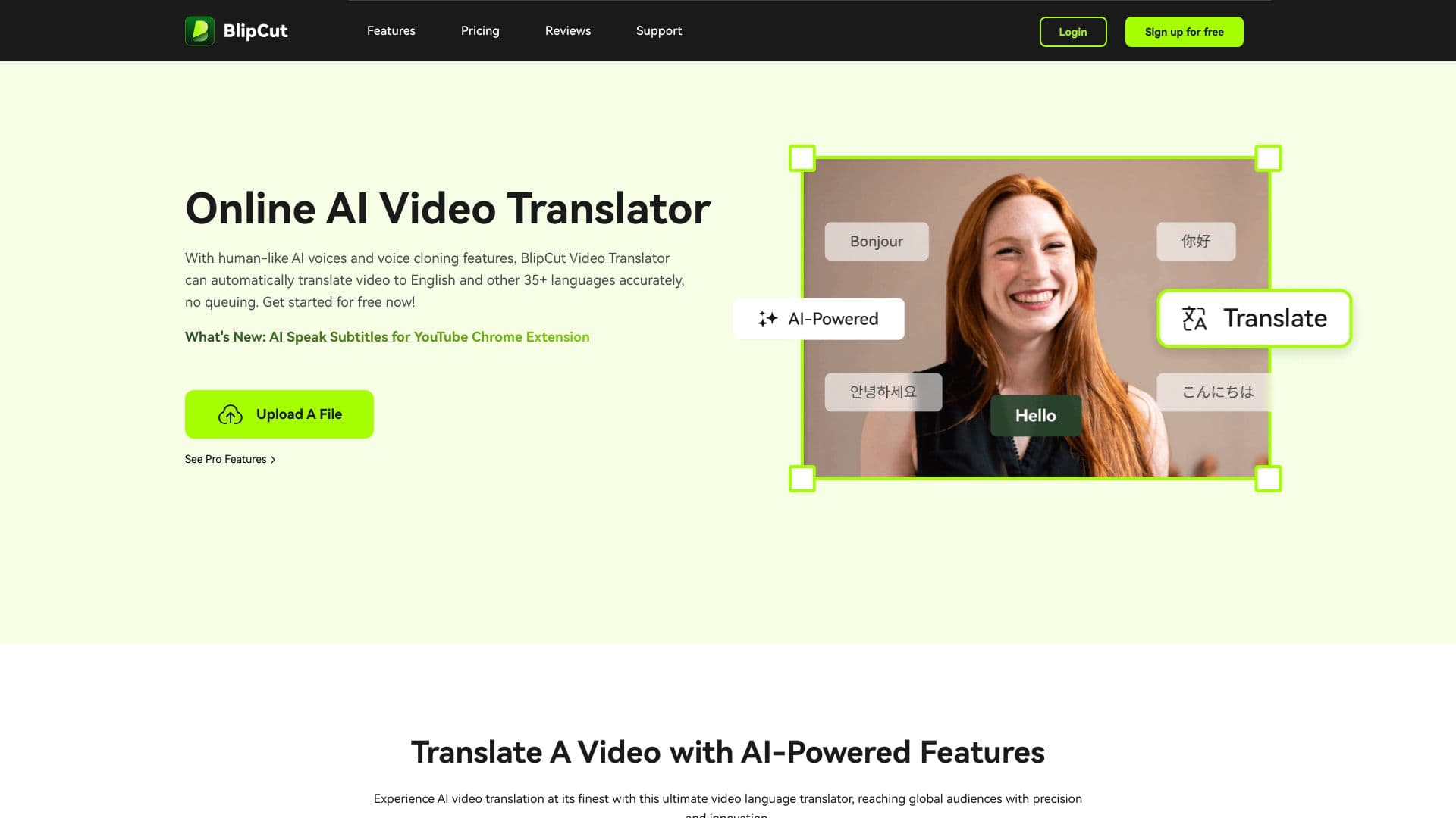 BlipCut AI Video Translator thumbnail