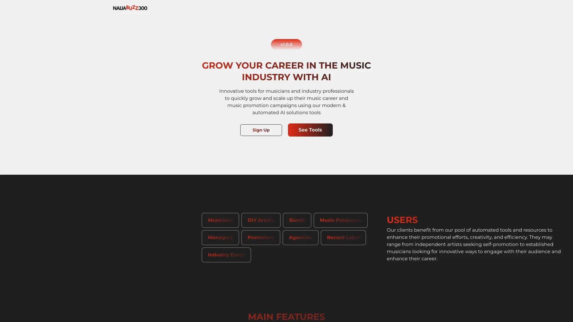 NaijaBuzz300 thumbnail