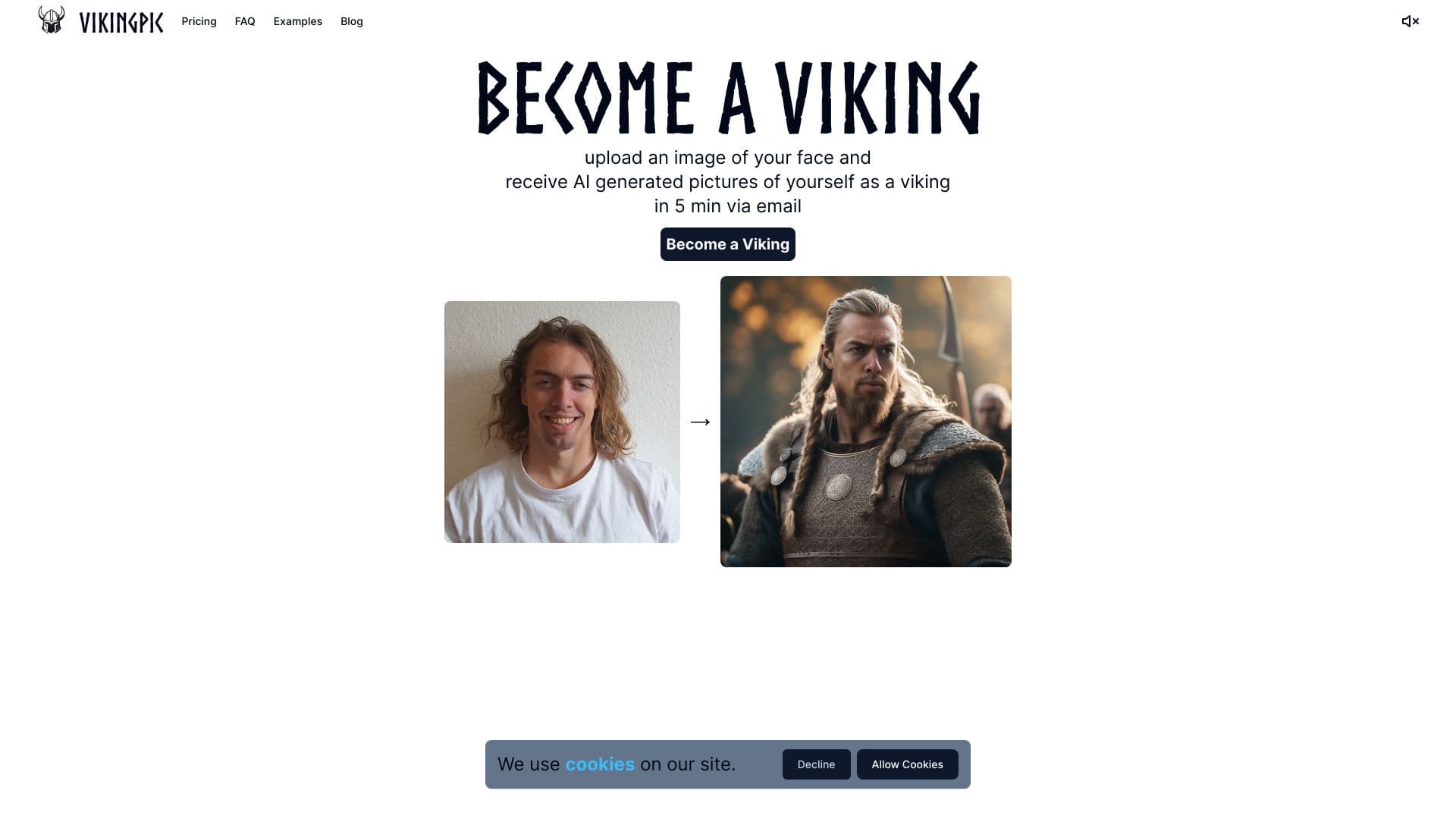 VikingPic thumbnail