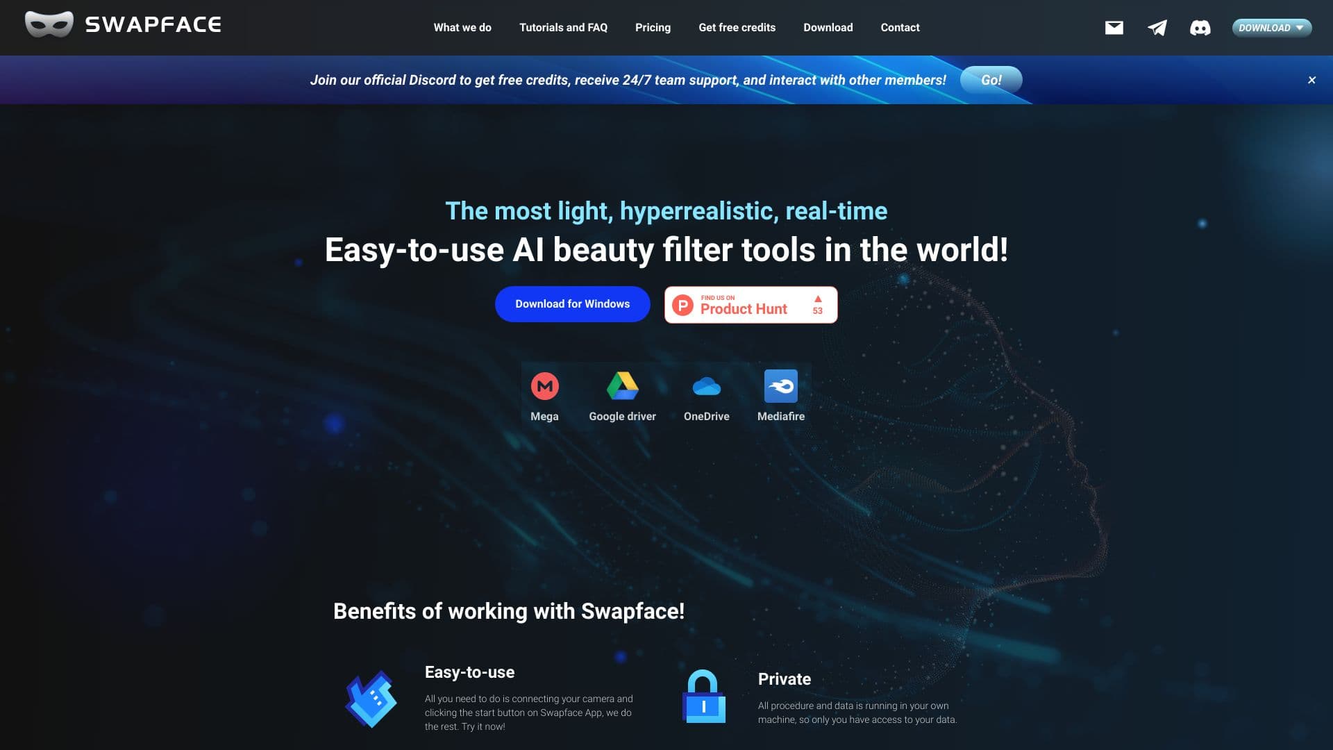 Swapface.org thumbnail