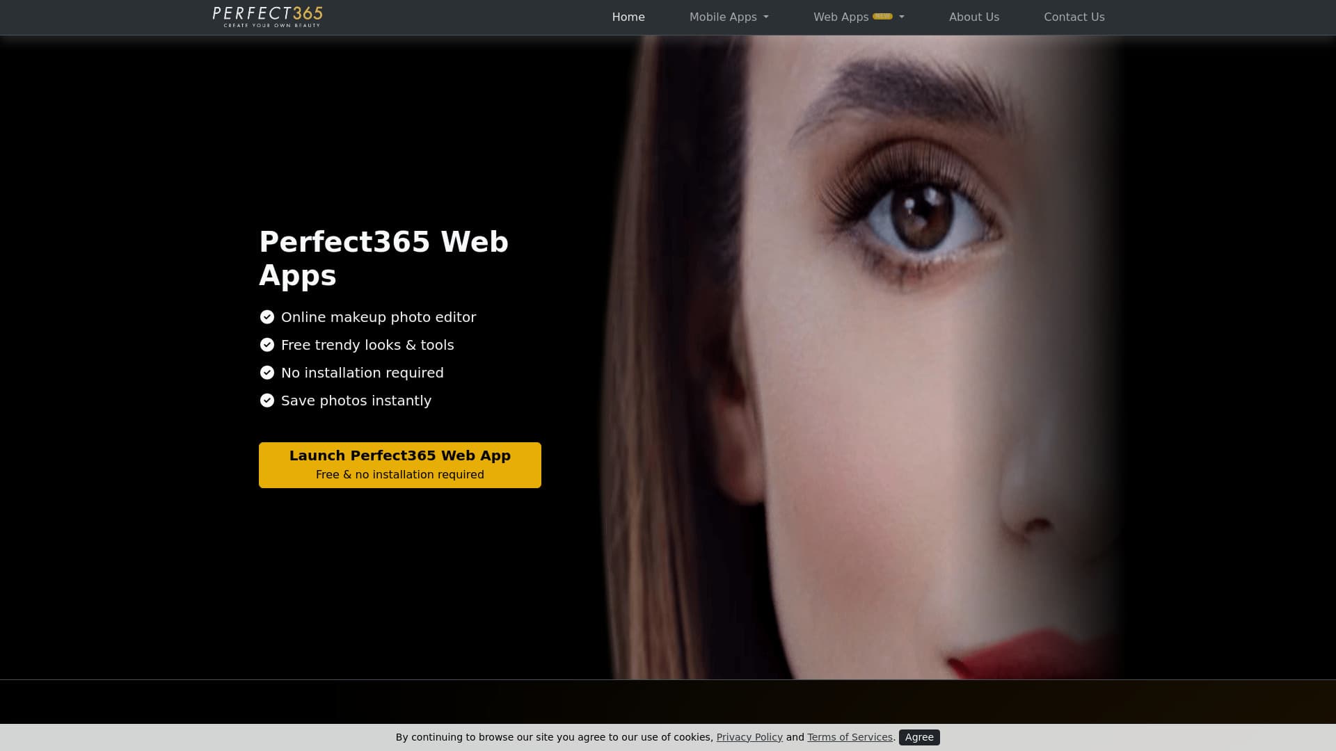 perfect365.com thumbnail