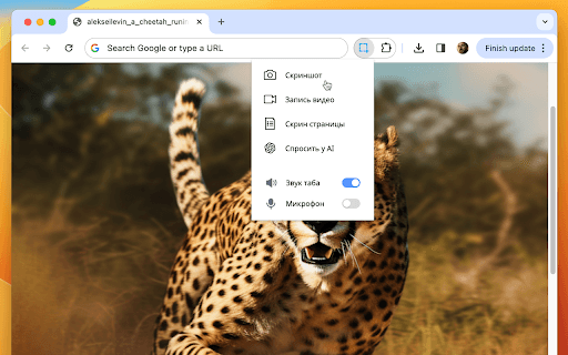 Скриншотер, Запись Экрана, ChatGPT thumbnail