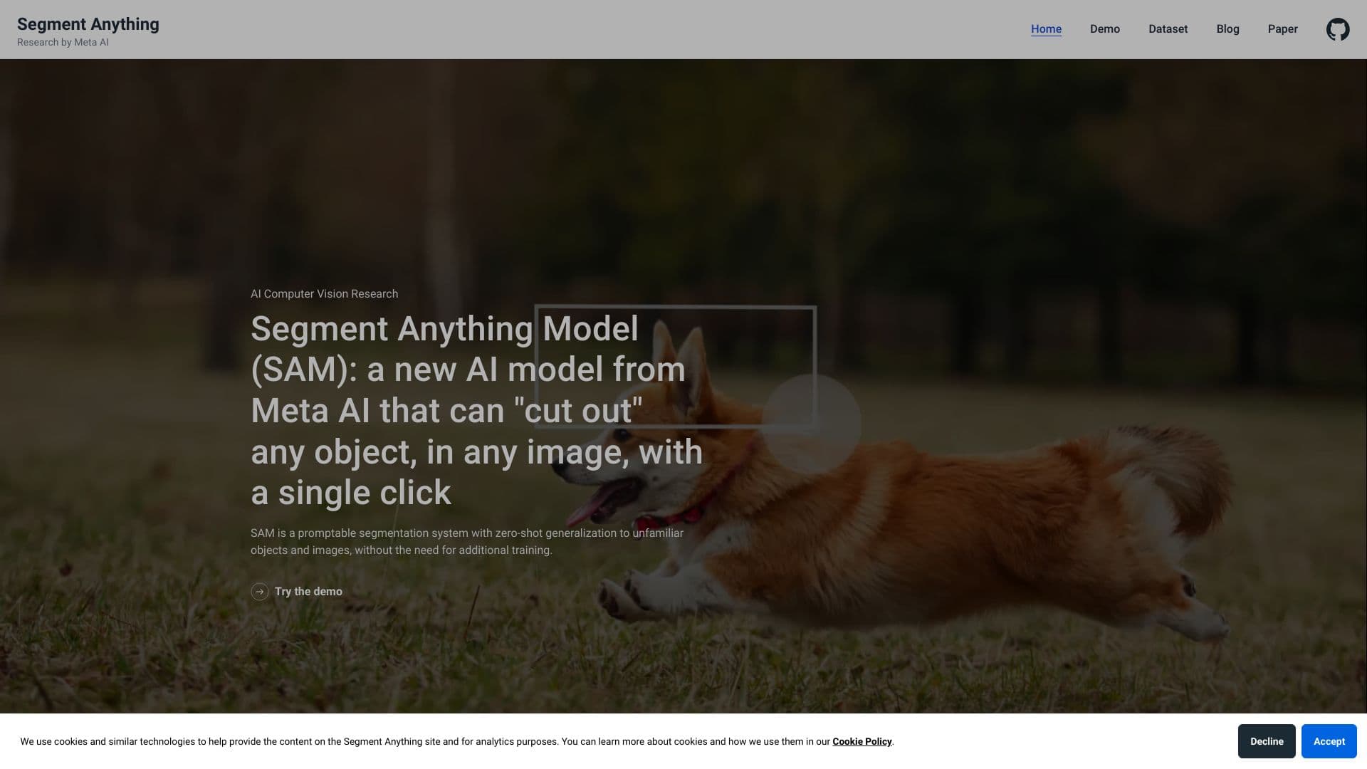 Segment Anything thumbnail