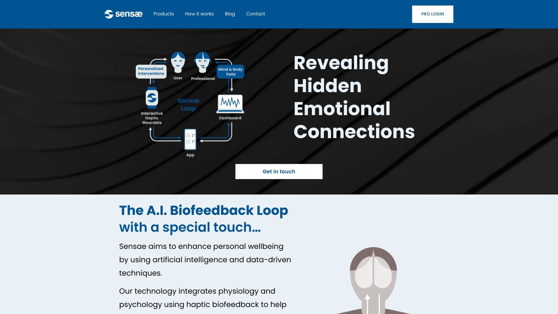 Sensae Loop thumbnail