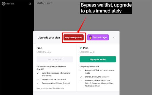 Chatgpt Plus Waitlist Skipper thumbnail