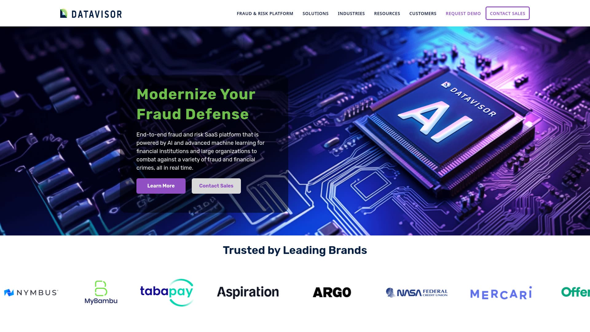 datavisor.com thumbnail