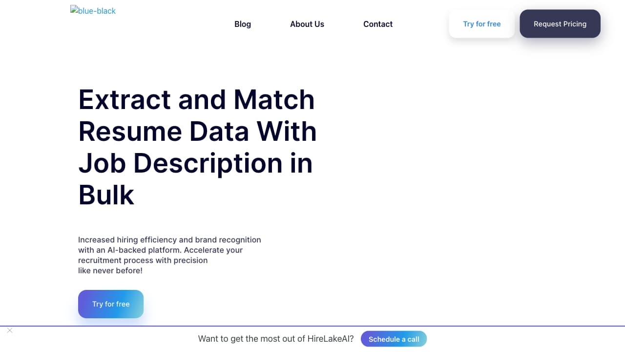 HireLakeAI thumbnail