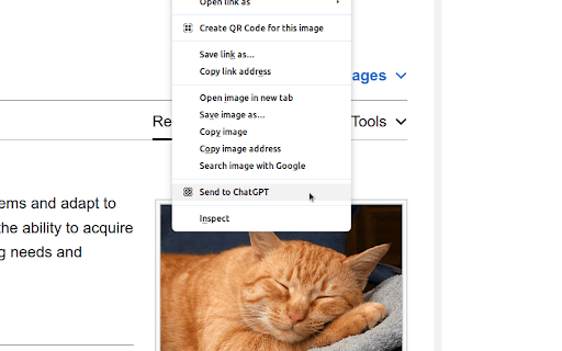 ChatGPT Xtra thumbnail