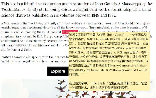 Fanyi: Contextual Translation thumbnail