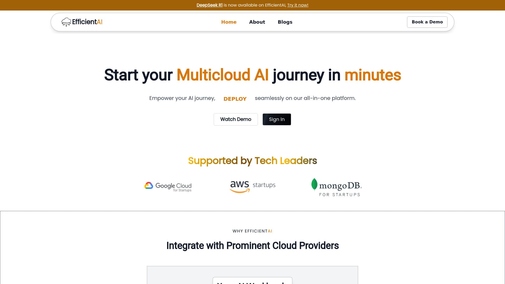 EfficientAI thumbnail