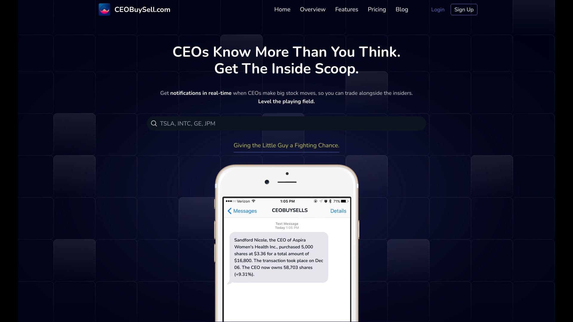 CEOBuySell.com thumbnail