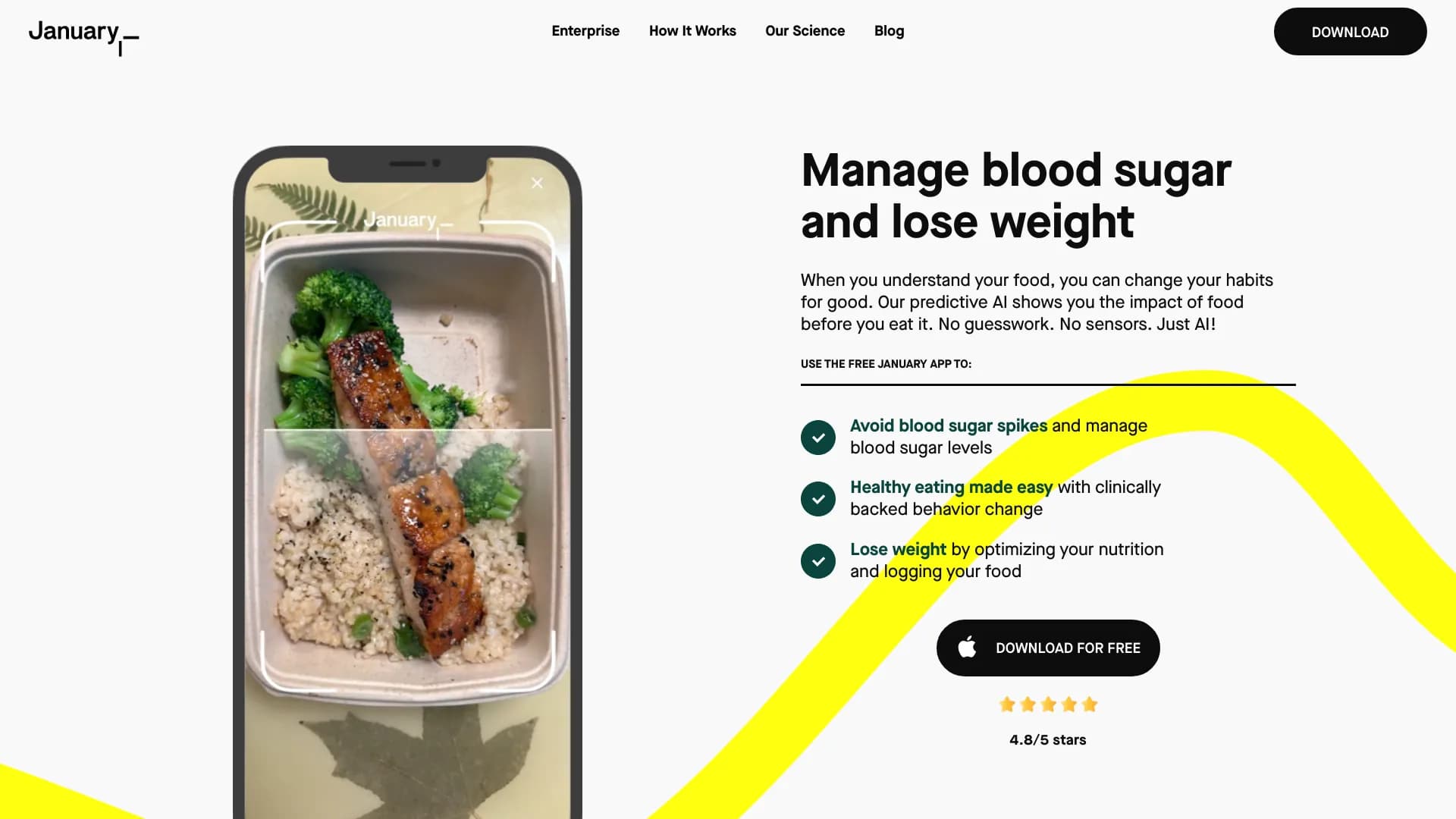 january.ai thumbnail