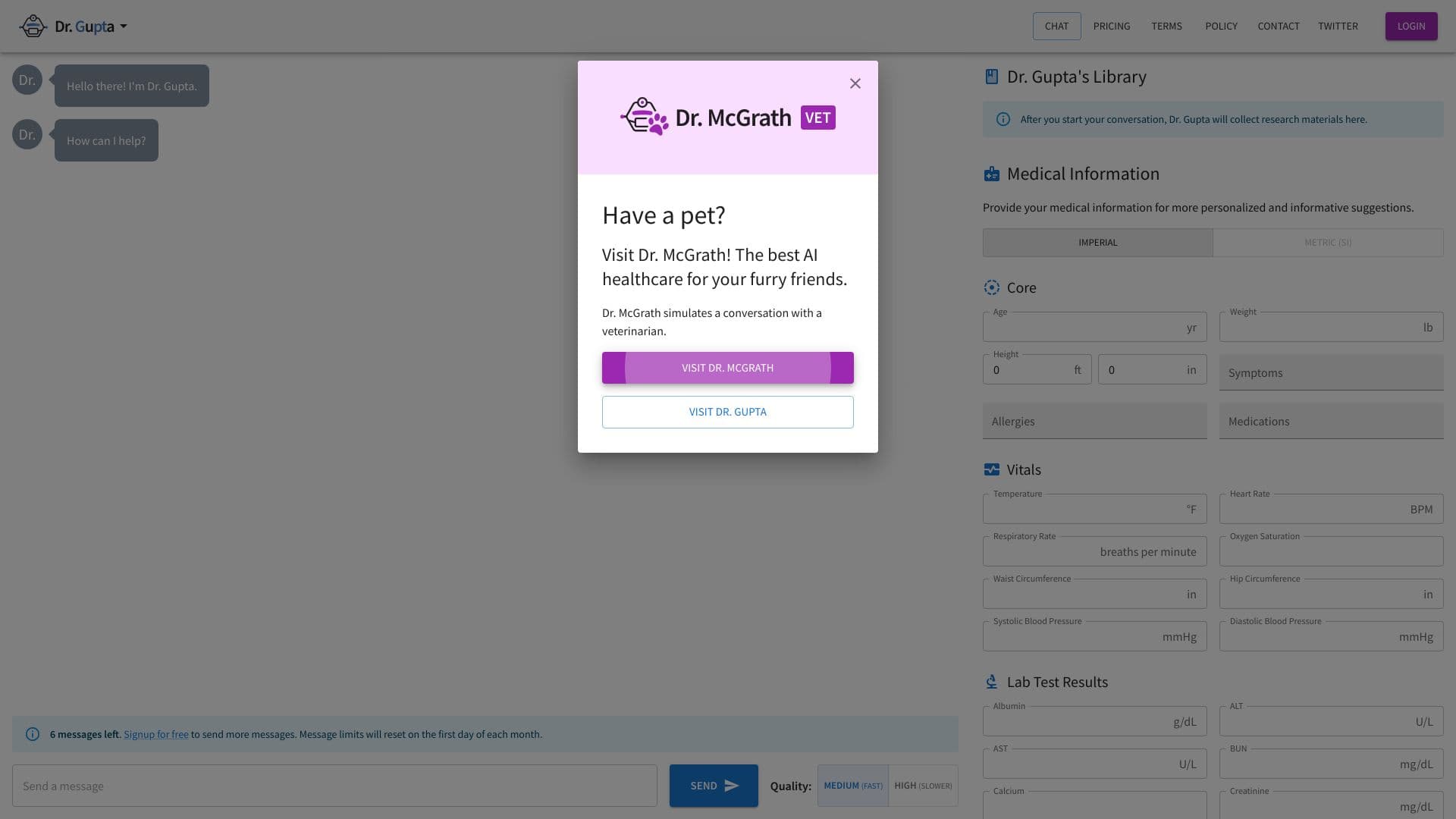 Dr. Gupta: AI Physician Chatbot thumbnail