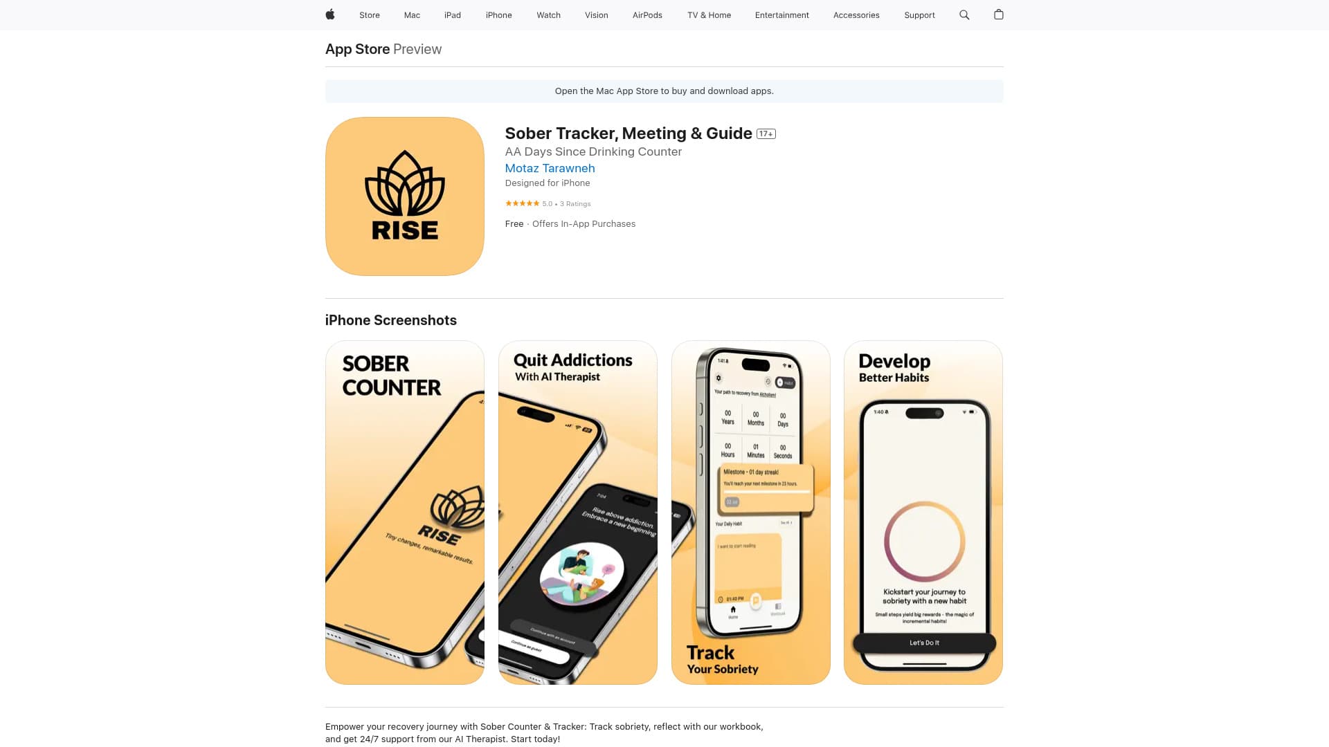 Sober Counter & Therapy - Rise thumbnail